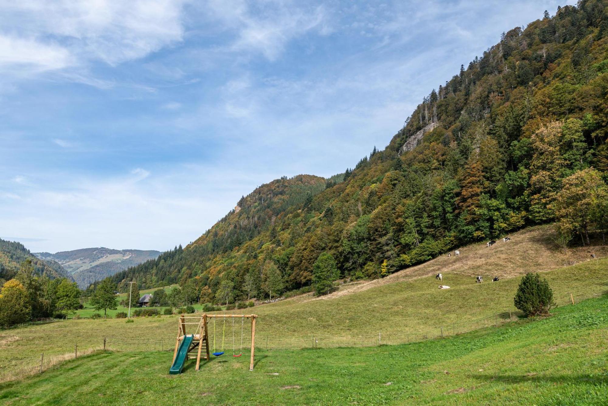 Gasthaus Zur Linde- Napf Oberried (Breisgau) Exterior foto