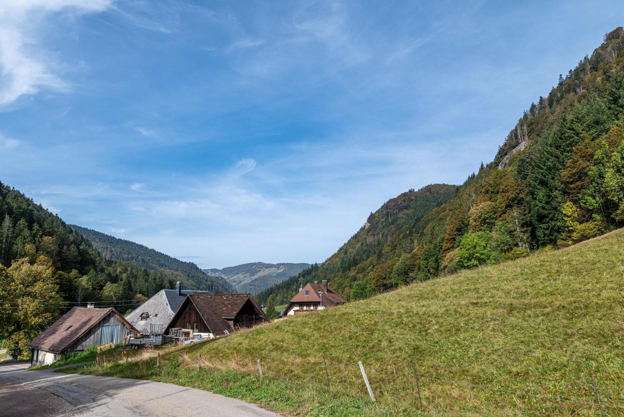Gasthaus Zur Linde- Napf Oberried (Breisgau) Exterior foto